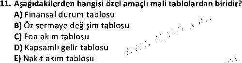 BS2009 Mali Tablolar Analizi çıkmış sınav sorusu 3