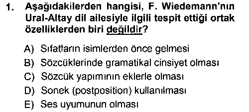 TDE201U Orhun Türkçesi çıkmış sınav sorusu 1