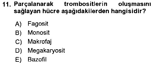 SAG210U İnsan Beden Yapısı Ve Fizyolojisi çıkmış sınav sorusu 3