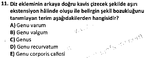 SPB1005 İnsan Anatomisi ve Kinesiyoloji çıkmış sınav sorusu 3