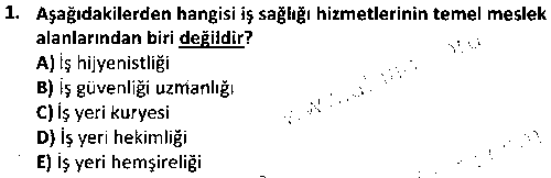 ISG1006 İş Hijyeni çıkmış sınav sorusu 1