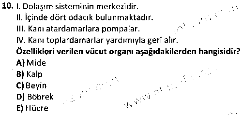 OGK1006 Güvenlik ve Acil Durum Prosedürleri çıkmış sınav sorusu 2