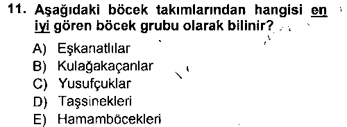 TRM209U Entomoloji çıkmış sınav sorusu 3