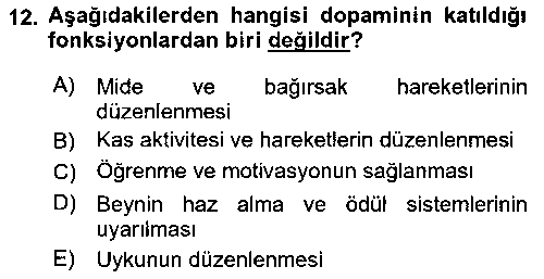 EBR207U Yaşlılıkta Nörolojik Temelli Durumların Bakım ve Rehabilitasyonu çıkmış sınav sorusu 2