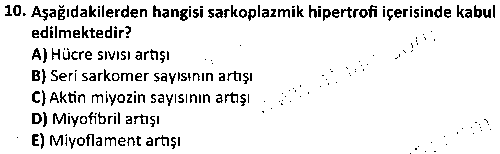 SPB2004 Egzersiz Fizyolojisi çıkmış sınav sorusu 2