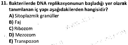LAB1004 Veteriner Mikrobiyoloji ve İmmünoloji çıkmış sınav sorusu 3