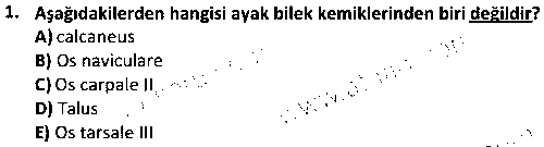 LAB1001 Veteriner Anatomi çıkmış sınav sorusu 1