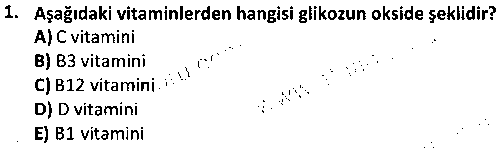 LAB1010 Veteriner Biyokimya çıkmış sınav sorusu 1