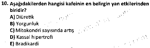 SPB4008 Sporda Ergojenik Yardım ve Doping çıkmış sınav sorusu 2