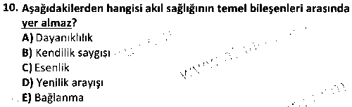 SOH3013 Yoksulluk ve Sosyal Hizmet çıkmış sınav sorusu 2