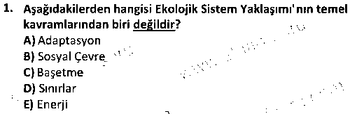 SOH1007 Sosyal Hizmet Bilimine Giriş çıkmış sınav sorusu 1
