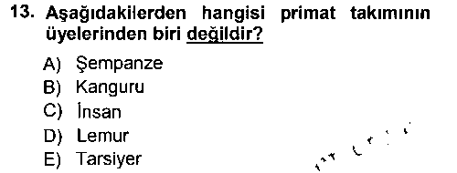 SOS203U Sosyal Antropoloji çıkmış sınav sorusu 3