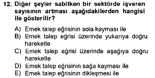 CEK308U CEK308U Çalışma Ekonomisi çıkmış sınav sorusu 2