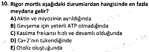 LAB1005 Veteriner Fizyoloji çıkmış sınav sorusu 2