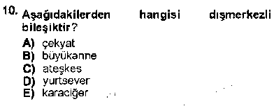 TDE305U Genel Dilbilim 1 çıkmış sınav sorusu 2