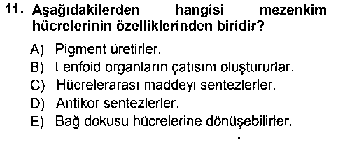 LBV111U Temel Veteriner Histoloji ve Embriyoloji çıkmış sınav sorusu 3