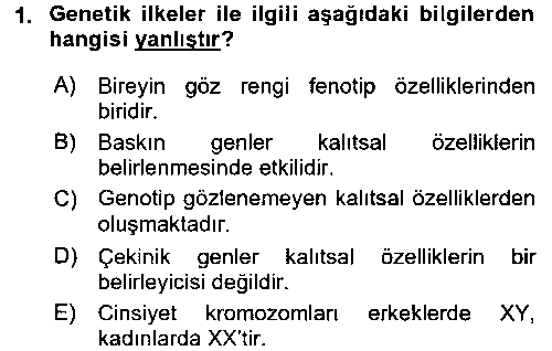YAB203U Yaşlı Psikolojisi çıkmış sınav sorusu 1