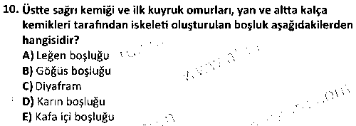 LAB1001 Veteriner Anatomi çıkmış sınav sorusu 2