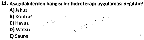 RKR4007 Terapötik Rekreasyon çıkmış sınav sorusu 3