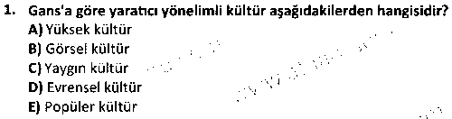 RKL4005 Kültür Sosyolojisi çıkmış sınav sorusu 1