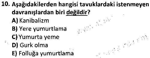 LAB1003 Zootekni ve Genetik çıkmış sınav sorusu 2