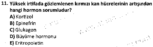 SPB2004 Egzersiz Fizyolojisi çıkmış sınav sorusu 3