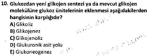 LAB1010 Veteriner Biyokimya çıkmış sınav sorusu 2