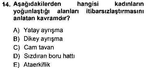 SOS311U Toplumsal Cinsiyet Sosyolojisi çıkmış sınav sorusu 3