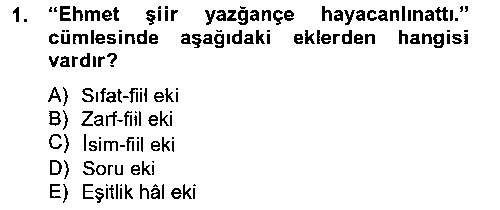 TDE304U Çağdaş Türk Yazı Dilleri 2 çıkmış sınav sorusu 1