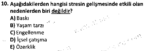 RKR3006 Rekreasyon ve Sağlık çıkmış sınav sorusu 2