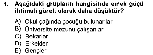 CEK204U Çalışma Ekonomisi 2 çıkmış sınav sorusu 1