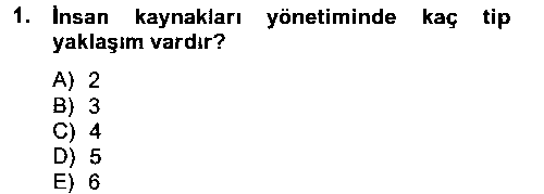 SYT102U Spor Yönetimi çıkmış sınav sorusu 1