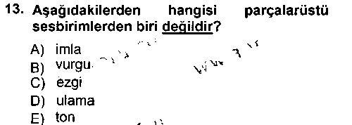 TDE101U Türkçe Ses Bilgisi çıkmış sınav sorusu 3