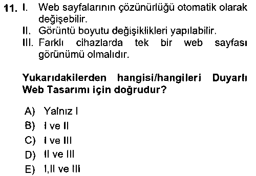 BIL205U Web Arayüz Programlama çıkmış sınav sorusu 3
