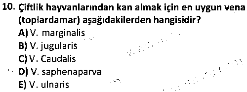 LAB1007 Laboratuvar Teknikleri ve Prensipleri çıkmış sınav sorusu 2
