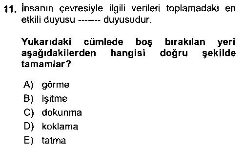 WTK209U Görsel Web Tasarımı çıkmış sınav sorusu 1