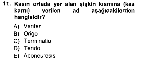 LBV101U Temel Veteriner Anatomi çıkmış sınav sorusu 1