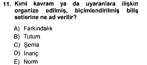 PSI201U Sosyal Psikoloji 1 çıkmış sınav sorusu 2