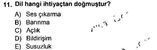 TDE303U Çağdaş Türk Yazı Dilleri 1 çıkmış sınav sorusu 2