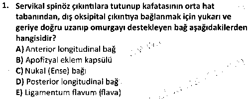 SPB1005 İnsan Anatomisi ve Kinesiyoloji çıkmış sınav sorusu 1