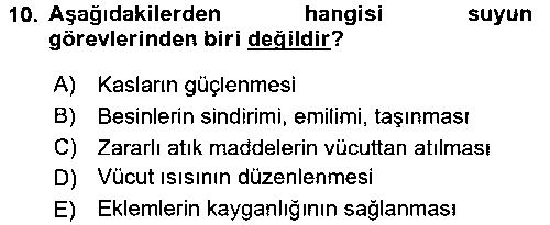 YAB206U Yaşlı Bakımı İlke Ve Uygulamaları çıkmış sınav sorusu 2