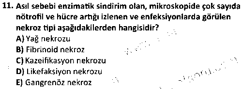ACY1012 Fizyopatoloji çıkmış sınav sorusu 3