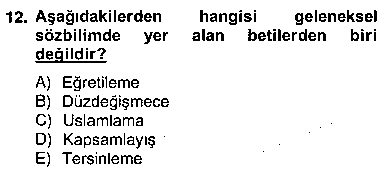 TDE402U Eleştiri Kuramları çıkmış sınav sorusu 3