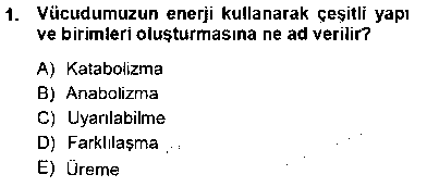 ANA103U İnsan Anatomisi Ve Fizyolojisi çıkmış sınav sorusu 1