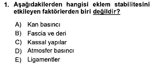 SYT208U Sporcu Sağlığı Ve Egzersiz çıkmış sınav sorusu 1