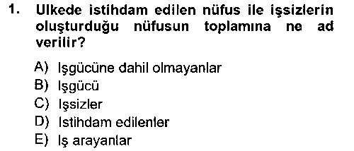 CEK303U İstihdam ve İşsizlik çıkmış sınav sorusu 1