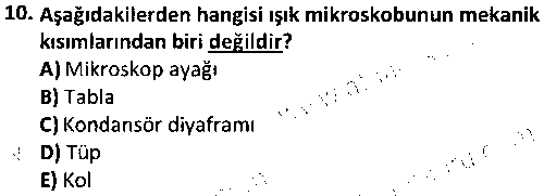 LAB1009 Veteriner Histoloji ve Embriyoloji çıkmış sınav sorusu 2