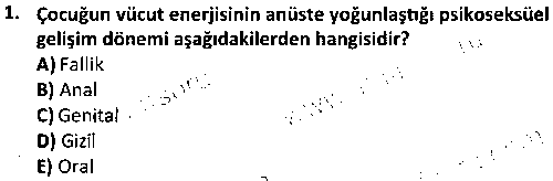 SOS1004 Gelişim Psikolojisi çıkmış sınav sorusu 1