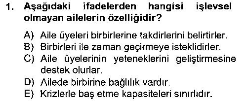 EVI206U Aile Psikolojisi ve Eğitimi çıkmış sınav sorusu 1