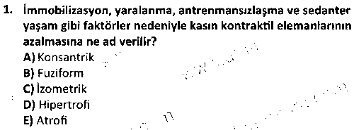 SPB2004 Egzersiz Fizyolojisi çıkmış sınav sorusu 1
